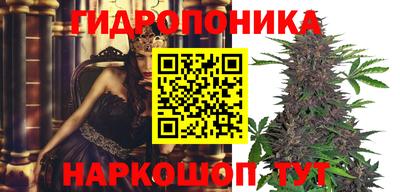 дурь Гусев
