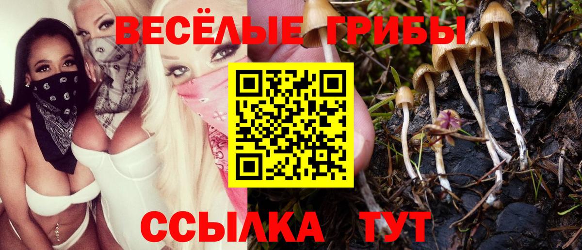 Псилоцибиновые грибы Magic Shrooms  Вход с VPN  Волоколамск  Псилоцибиновые грибы мухоморы 