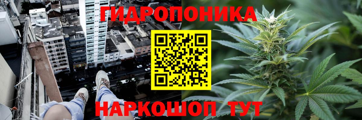 МАРИХУАНА семена Волоколамск
